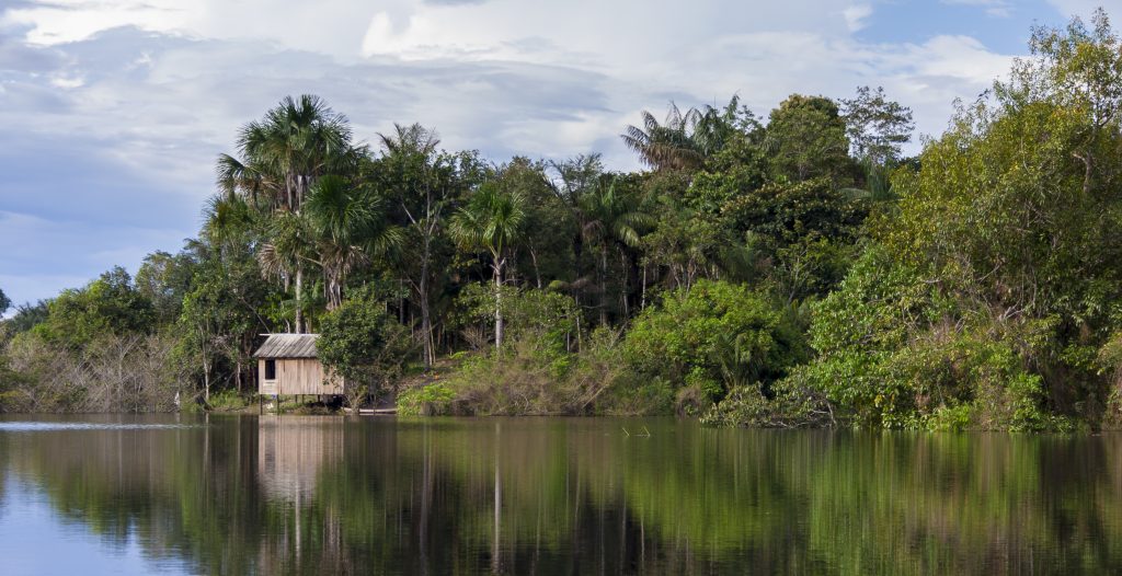 A little hut on the edge of the Amazon river. 