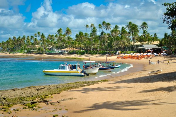 Boats on the beach at praia do forte ready to take tourists to the surrounding areas. 