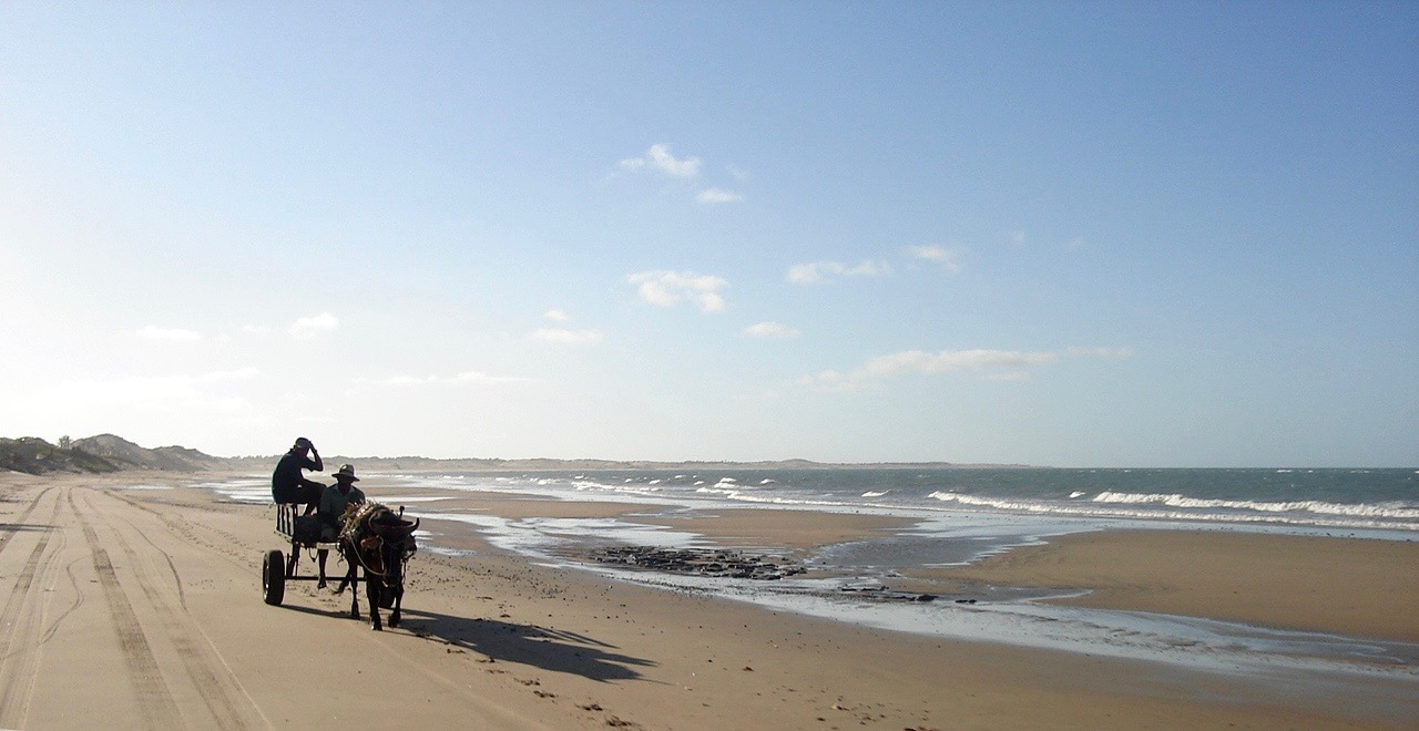 A horse-drawn cart on one of the many beaches of Nordeste.