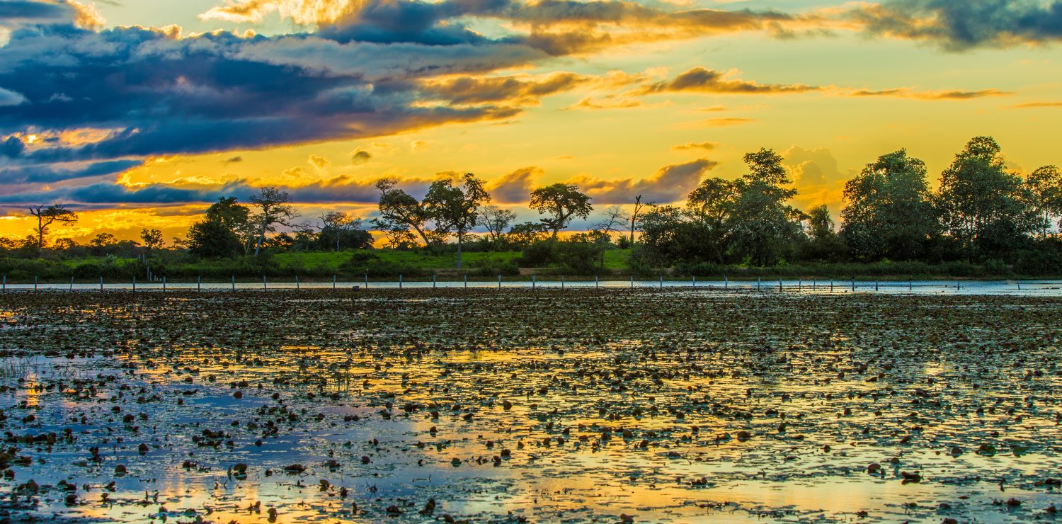 sunset over Pantanal
