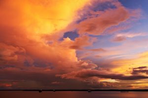 A beautiful orange sunset over the Amazon river. 
