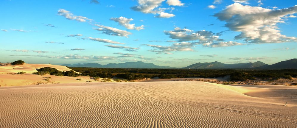 Beautiful panoramic view of beach and dunes in Brazil. 
