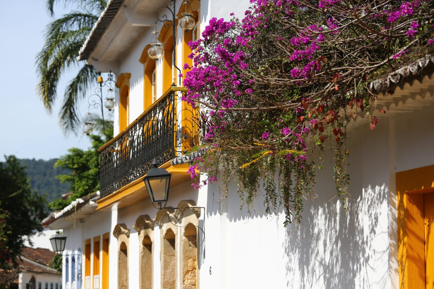 Flowers falling out over the houses in Paraty. 