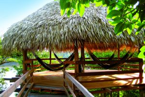 Hammocks hanging in one of the huts of the Juma lodge, perfect for relaxation on an Amazon Vacation. 