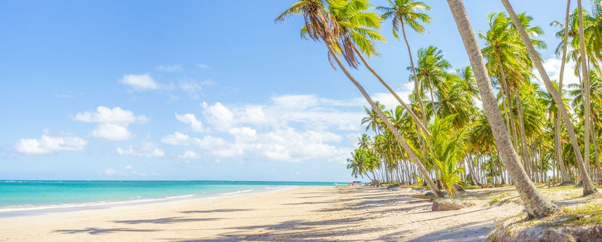 A deserted beach on the coast of Brazil. 