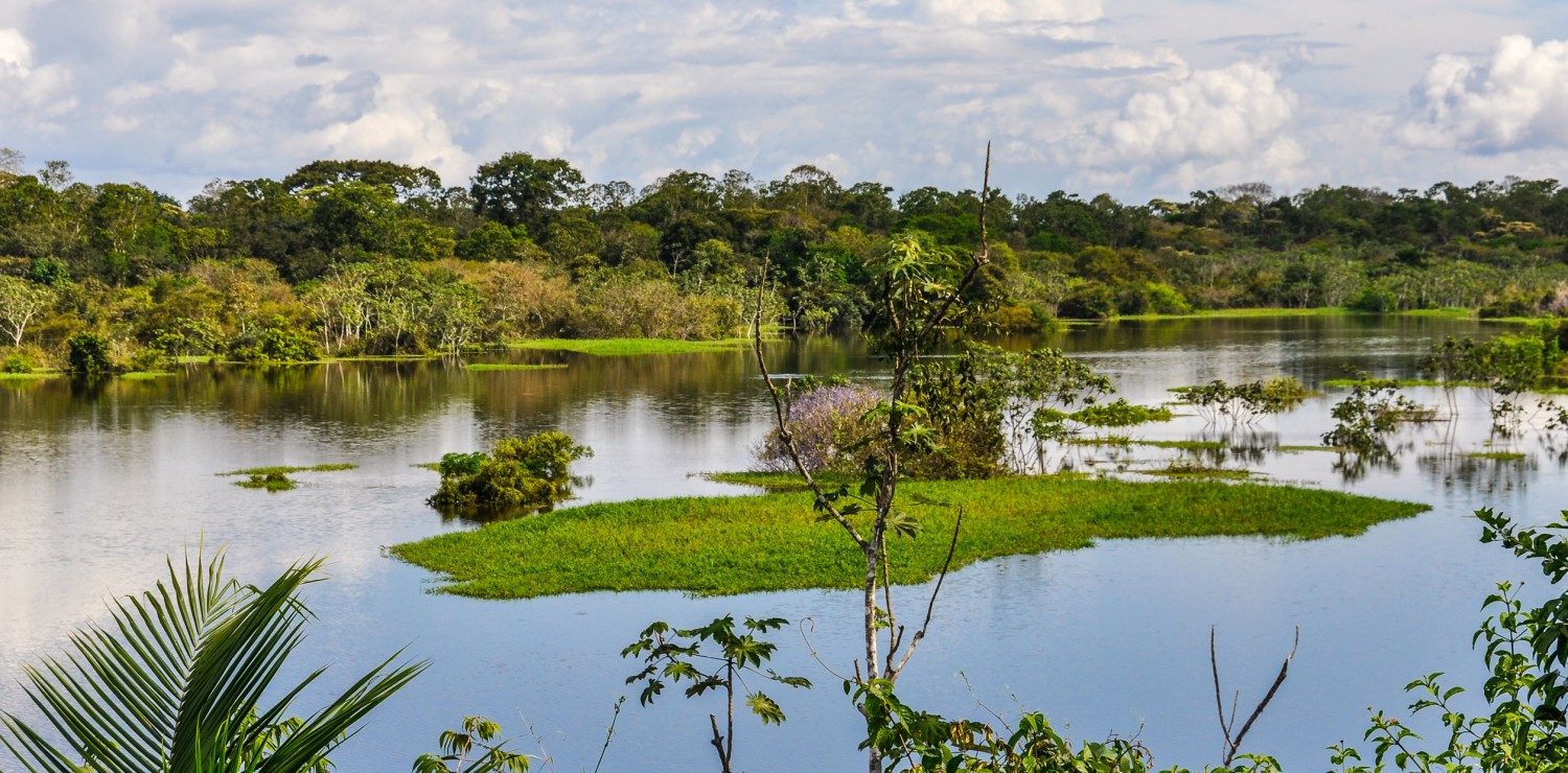 View of Amazon Brazil