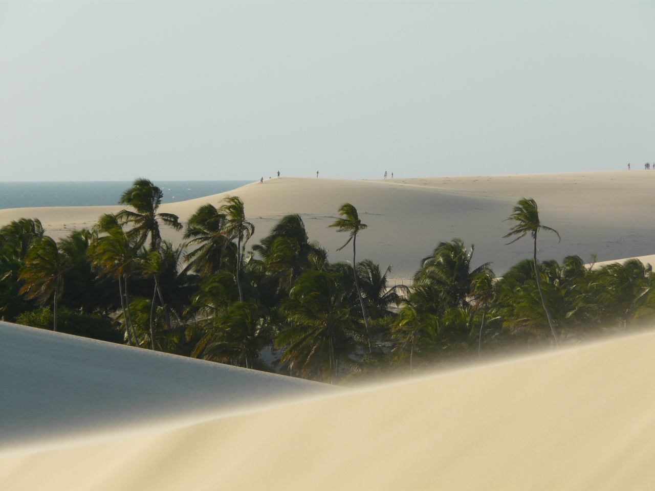 A windy day up in the dunes in Jericoacoara. 