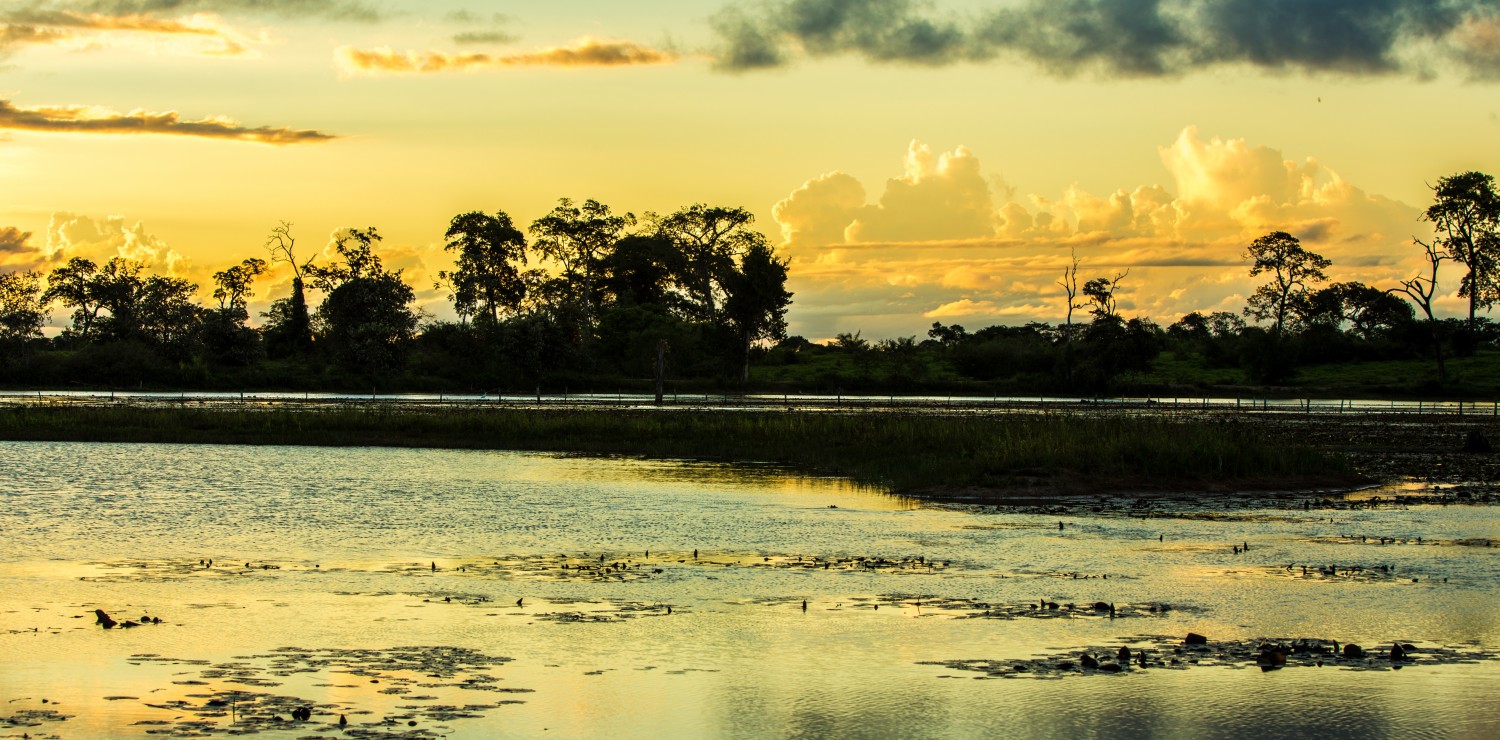 Pantanal sunset view