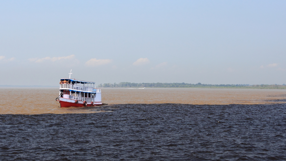 The meeting of the waters at Manaus. 