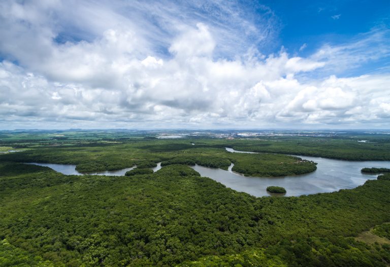 The Amazon river winding its way through the jungle. 