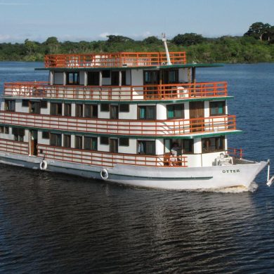 Private Amazon boat, cruises up the river.