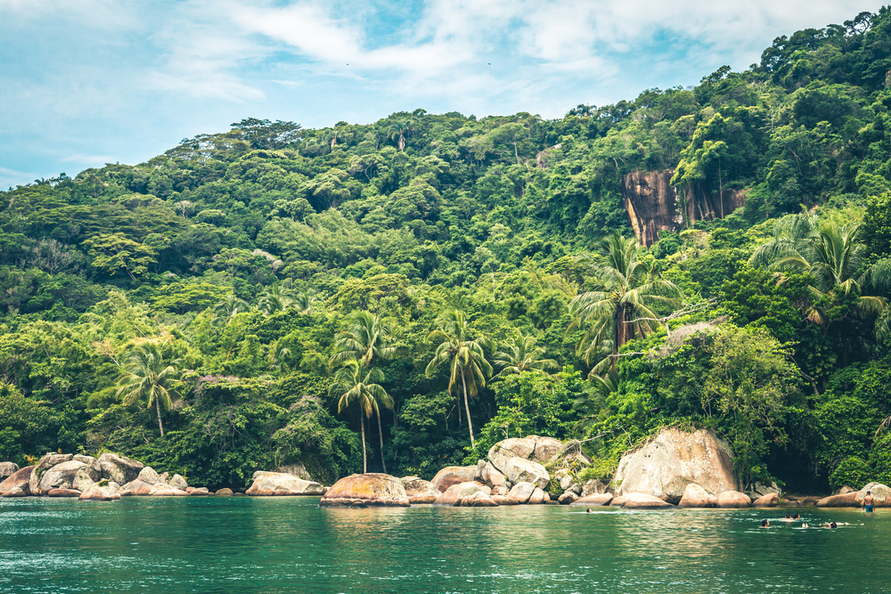 The amazing Mata Atlantica jungle in Costa verde.