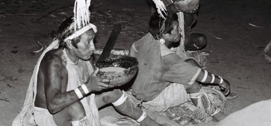 Indian Shamans drink Ayahuasca in Brazil.