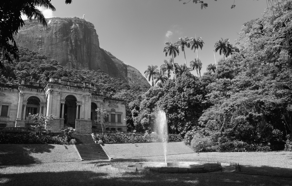 Tijuca Forest in Rio de Janeiro - black and white. Part of Honeymoon tour in Brazil.